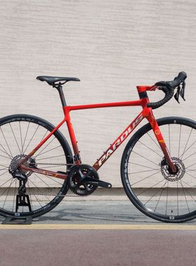 瑞豹 ROBIN EVO DISC-105 碳纤维公路车国家队涂装禧玛诺105大套