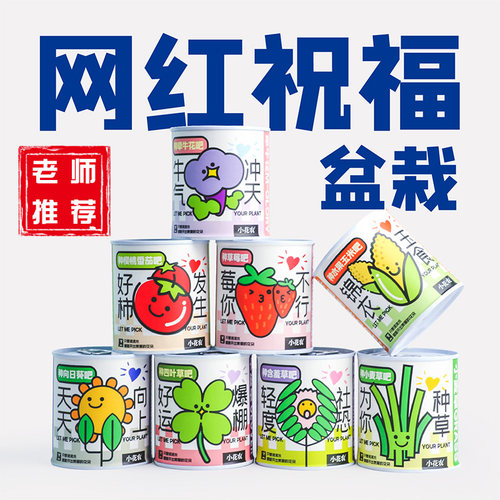 网红爆款创意祝福盆栽