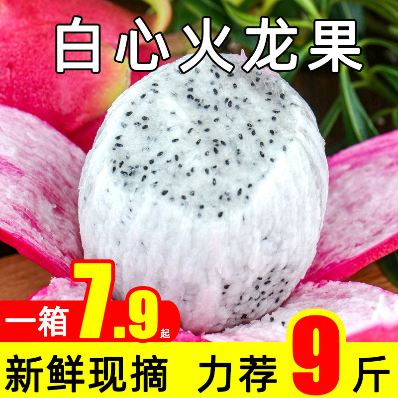 白心火龙果新鲜现摘水果甜当季越南红蜜宝心金都9斤整箱一号大果