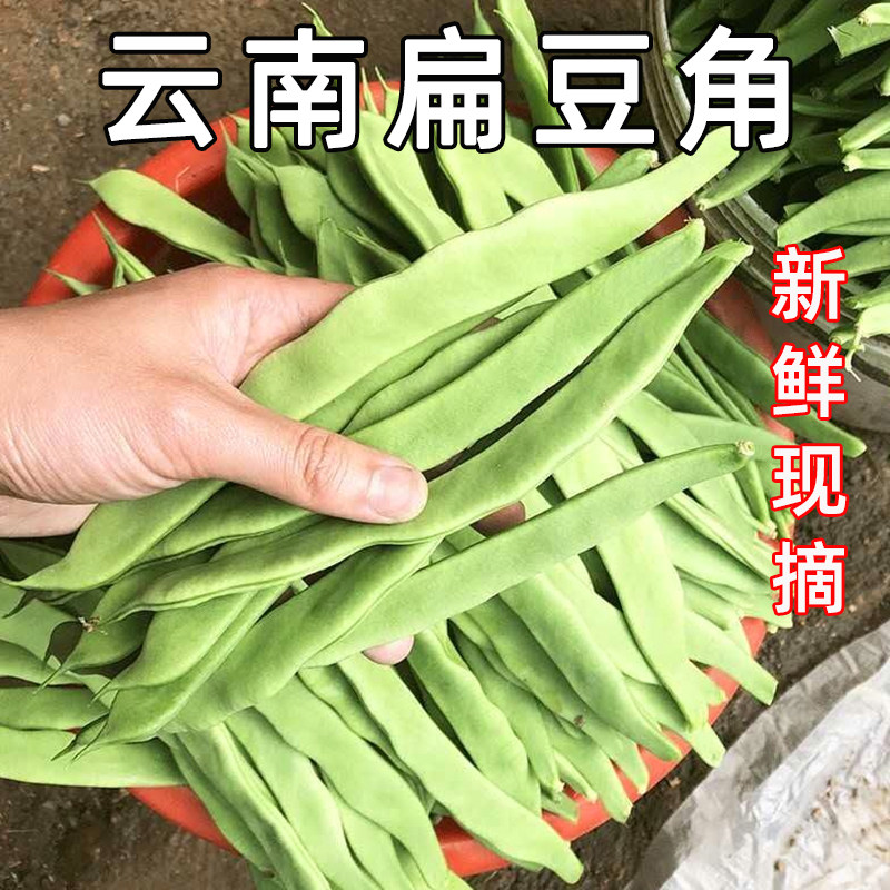 菜长扁豆角云南高山新鲜蔬扁豆现摘长四季豆角农家芸豆菜豆整箱