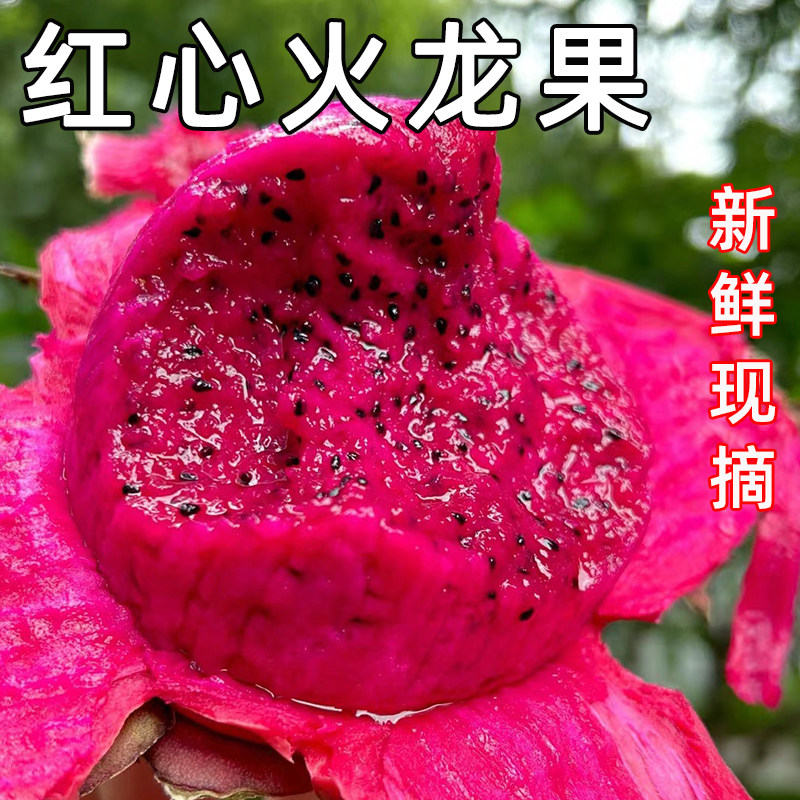 现摘红心火龙果甜蜜红肉当季新鲜水果金都一号果子5斤整箱包邮