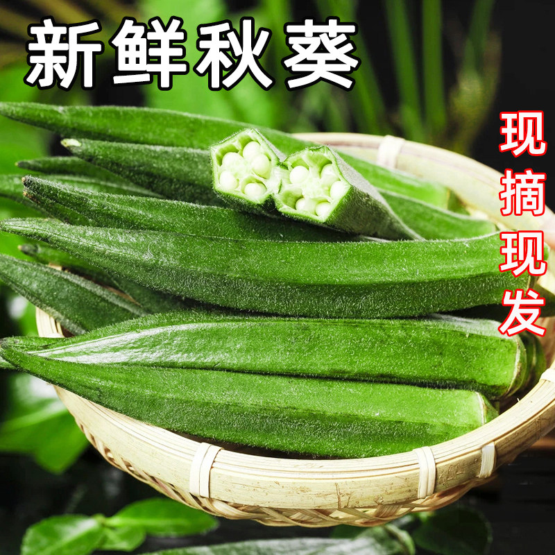 新鲜现摘嫩秋葵黄秋葵当季农家蔬菜5斤羊豆角整箱包邮露天种植
