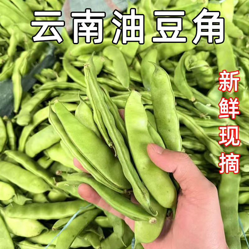 新鲜云南现摘油豆角盖世九月青整箱蔬菜扁豆大宽开锅软烂青豆角,水产肉类/新鲜蔬果/熟食,新鲜豆类,淘宝优惠券,粉丝福利购,淘宝优惠卷