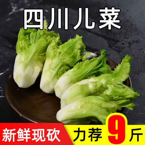 新鲜现砍儿菜咸菜榨菜娃娃菜