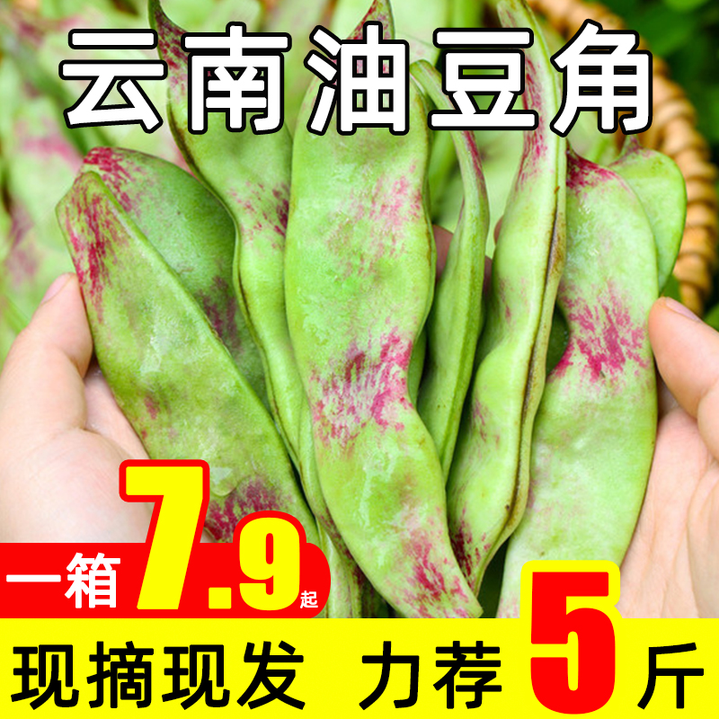 新鲜现摘油豆角九月青一点红5斤整箱蔬菜扁豆大宽开锅烂青豆角