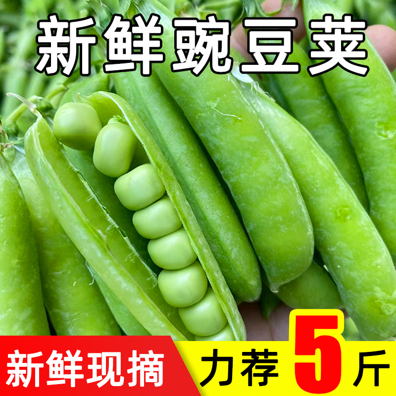 豌豆荚新鲜现摘带壳农家当季蔬菜