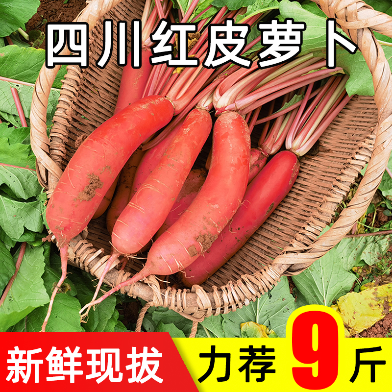 红皮萝卜新鲜现拔四川红萝卜当季农家蔬菜白心泡菜酸胭脂萝卜9斤