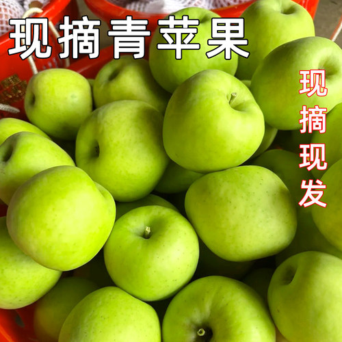 新鲜现摘青苹果山西当季农家水果酸甜脆小青绿富士苹果整箱包邮