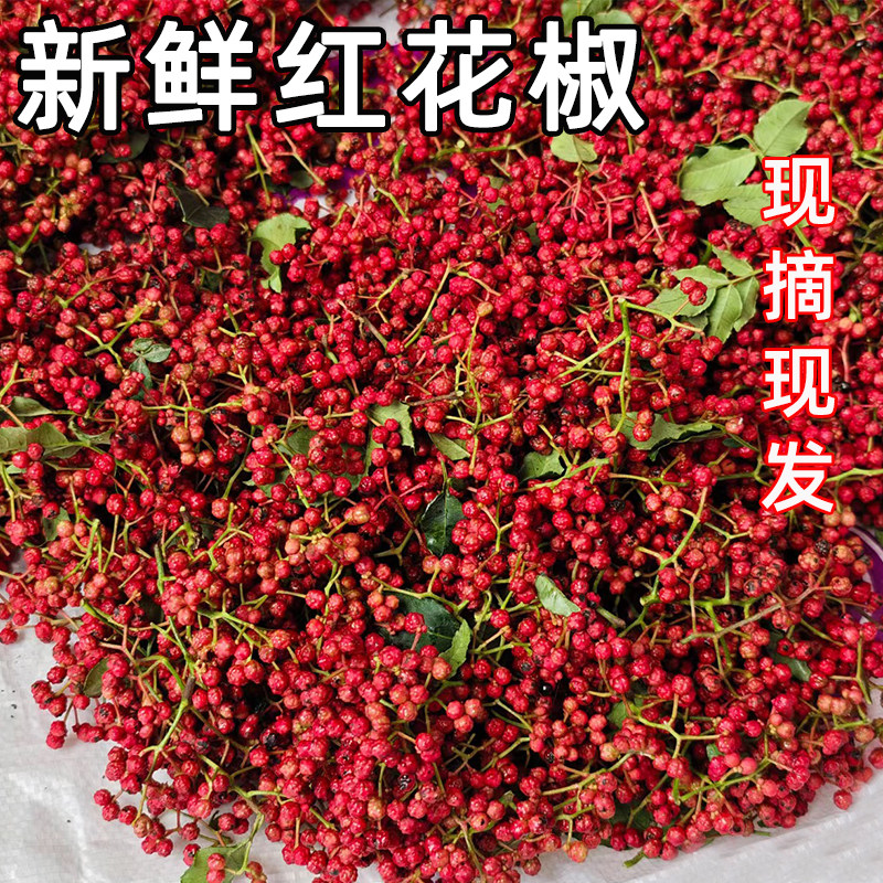 四川红花椒新鲜现摘产地直发