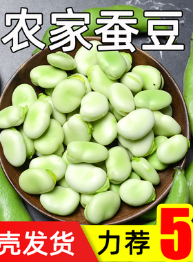 云南胡豆新鲜现摘带壳蚕豆当季农家蔬菜毛豆青罗汉豆兰花佛南豆9