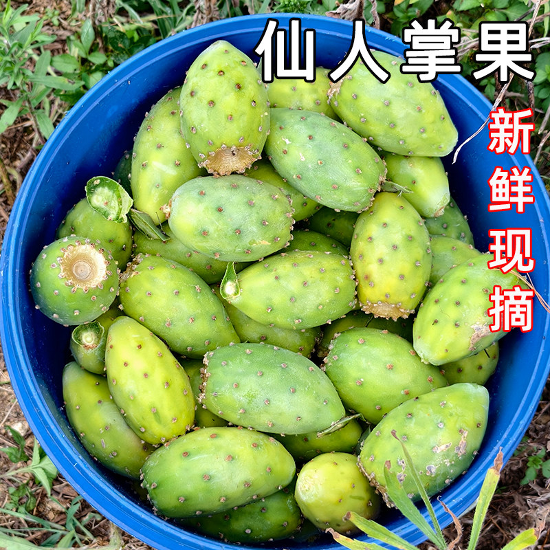 福月安食用仙人掌果实新鲜现摘