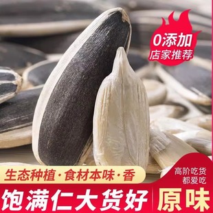 正品原味瓜子内蒙古新货特大颗粒炒熟葵花子零食休闲炒货坚果批发