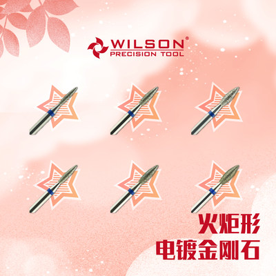 wilson惠而顺火炬m俄式美甲