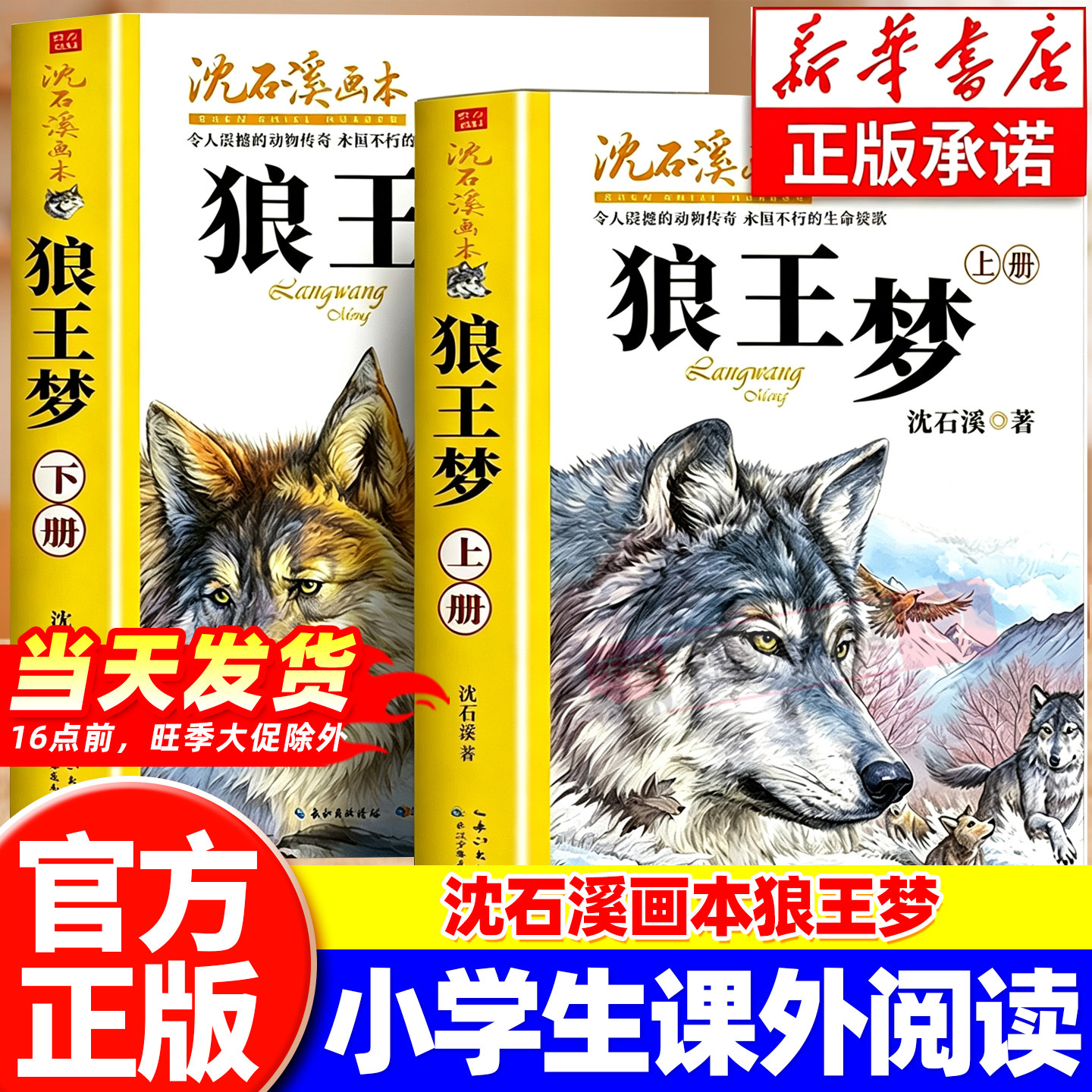 全套21册 沈石溪画本狼王梦上下2册动物小说大王沈石溪经典全彩美绘本彩绘版画本美绘小学生爱读的动物小说课外阅读推荐读物彩图图片