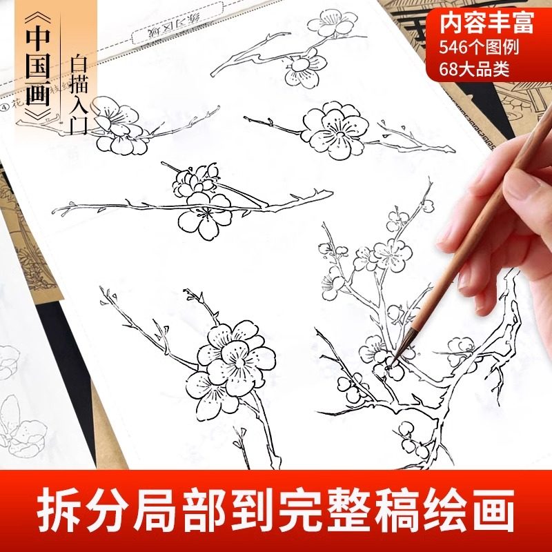 中国画白描临摹画册国画白描画入门描摹本白描底稿临摹画画入门自学零