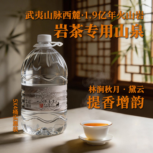 林涧秋月黛云岩茶大红袍泡茶水
