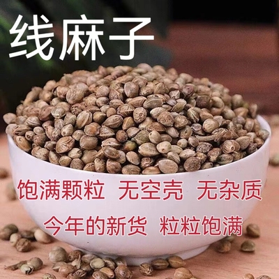 线麻籽线麻子火麻仁东北线麻籽小粒线麻籽鸟粮1斤包邮