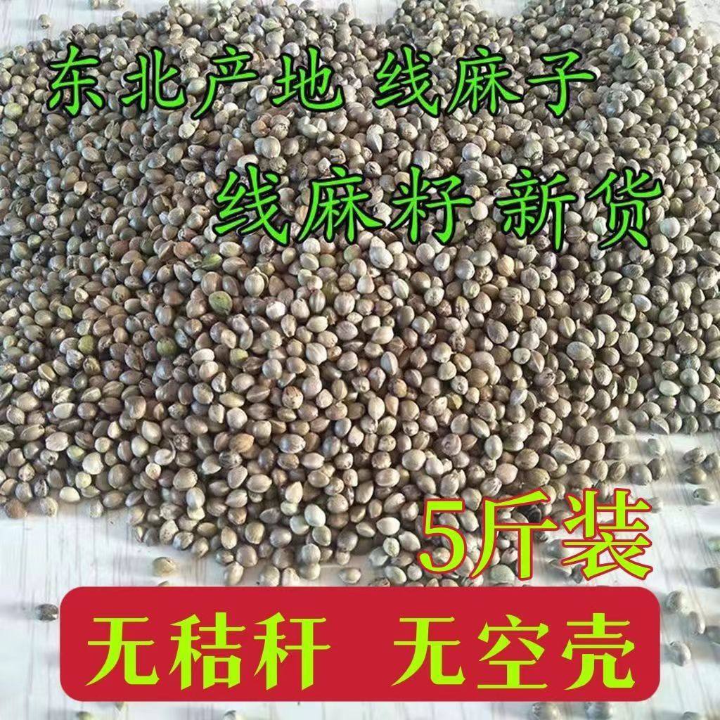 东北产地线麻籽线麻子火麻仁东北线麻籽小粒线麻籽鸟粮2500g包邮