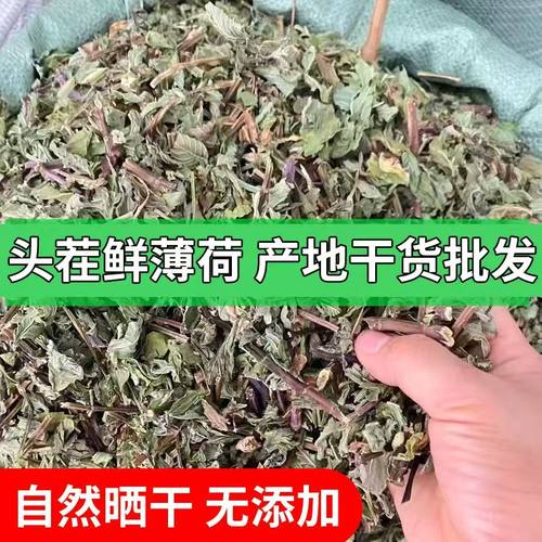 薄荷干正品泡水泡茶薄荷叶药用薄何5斤装天然食用薄荷