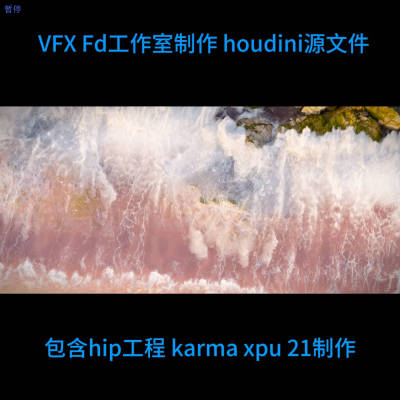HOUDINI21海洋礁石冲击 file hip 自动发货  xpu