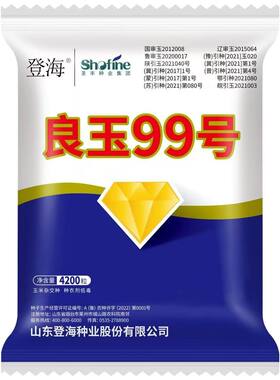 良玉99登海玉米种子正品