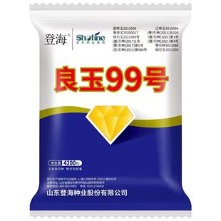 登海良玉99玉米种子正品牌良玉九九铁杆玉米包王邮第7代原装正品