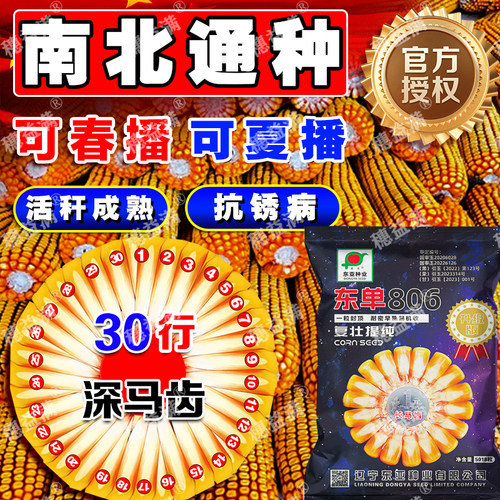 富友高产玉米种子大棒细轴深马齿