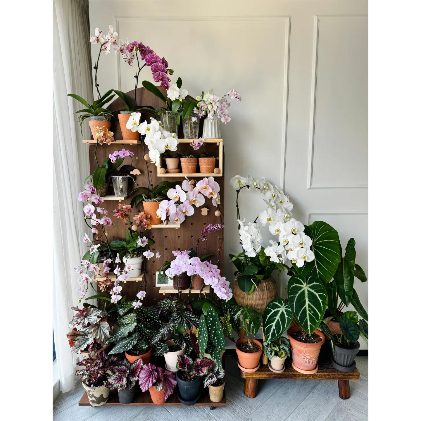 阳台洞洞板养花架绿植墙定制置物架墙上装饰窗台落地移动花盆架子