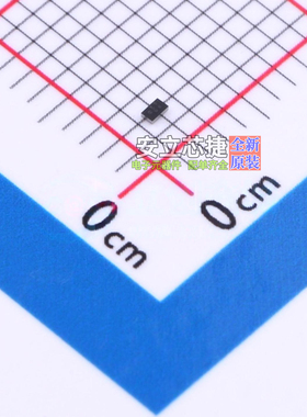 肖特基二极管 SDM05U40CSP-7 X3-WLB1006-2 DIODES(美台) 元器件