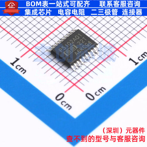 ADC/DAC芯片 PCM5102AQPWRQ1 TSSOP-20 TI/德州 电子元件全新原装
