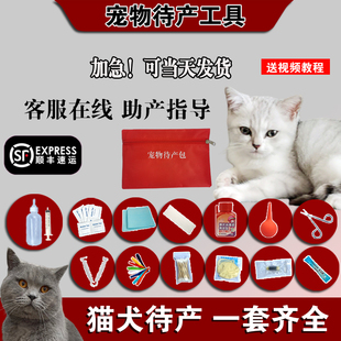 猫咪怀孕生产包宠物接生工具用品全套套装母猫待产包幼宠吸羊水器