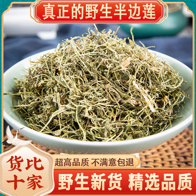 半边莲草药500g克半边莲中药材野生半边莲干货半边花细米草半边莲