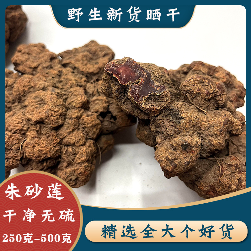 中藥材 野生朱砂蓮500g克 正品朱砂連 牛血蓮 躲蛇生 雷見怕 包郵