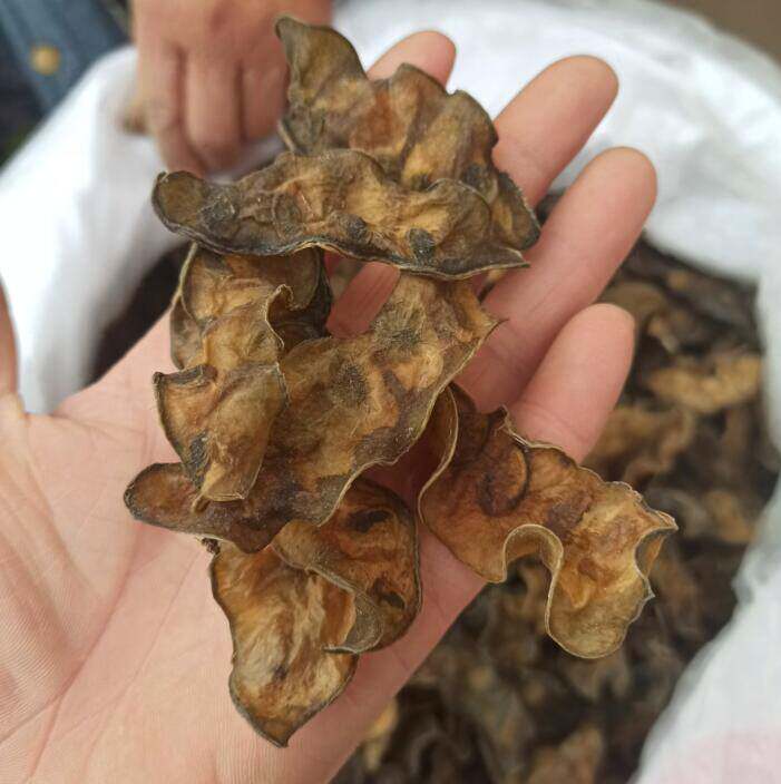 农家自制扁豆干500g山东特产干梅豆眉豆干干货扁豆豆角干脱水蔬菜