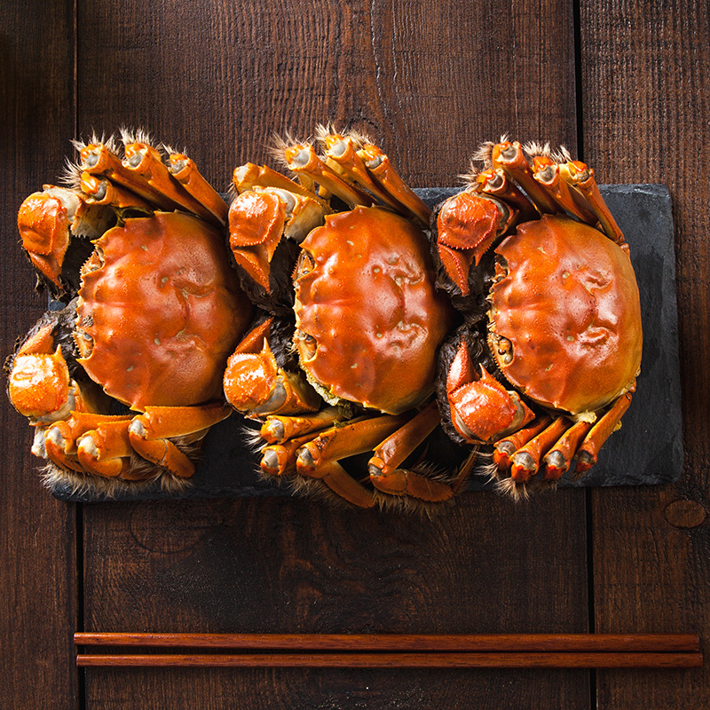 活蟹 阳澄月影 严选大闸蟹公4.5两 母3.5两 8只装