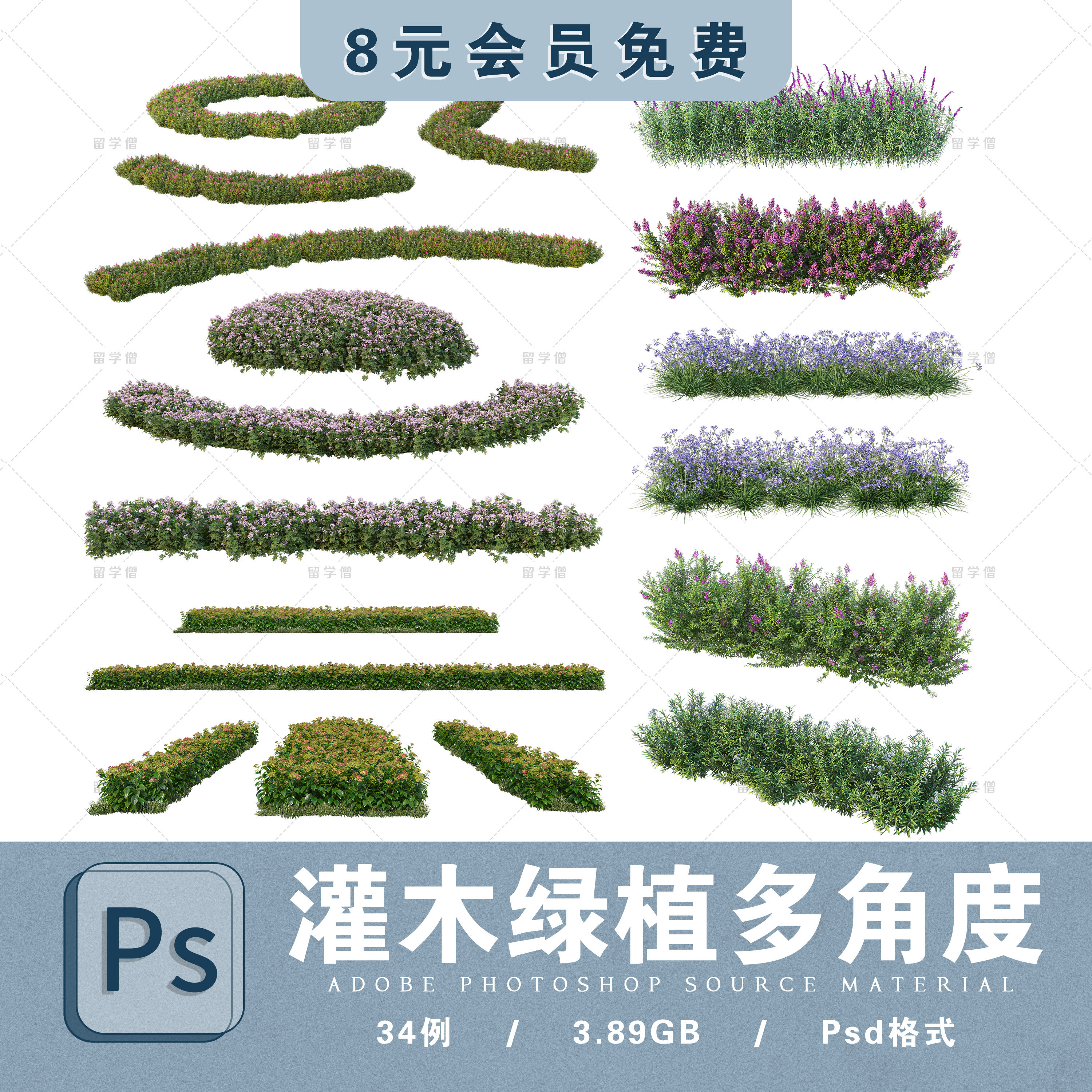 灌木花坛ps素材贴图后期带状灌木花卉组团效果图植物png免扣贴图