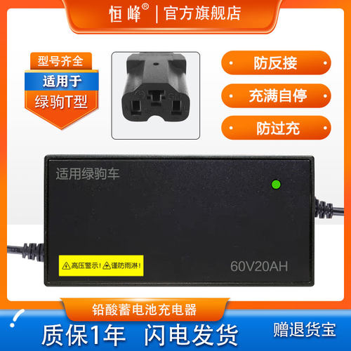适用绿驹电动车充电器T型接口