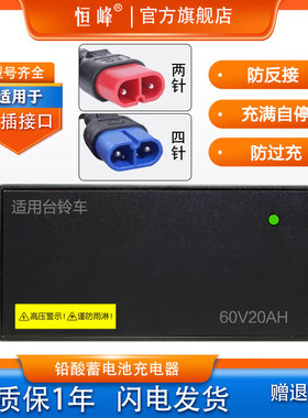 适配台铃电动车充电器48V12A60V20AH72V23AH50A84V32石墨烯两四针