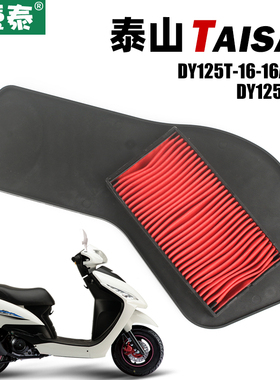 大阳踏板摩托车TAISAN泰山DY125T-16A-16M-17M空气过滤芯空滤配件