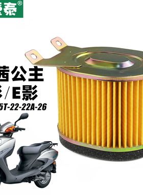 新大洲本田踏板摩托车E彩E影茜茜公主SDH125T-22A-26空气滤芯空滤