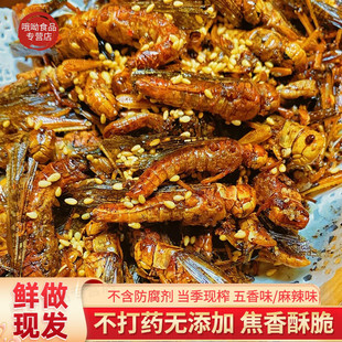 【鲜做现发】油炸蚂蚱新鲜大蚱蜢山东烧烤特产即食蝗虫昆虫子美食