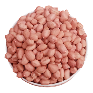 新花生米5斤生花生仁农家新花生小白沙花生米榨油花生生花生批发