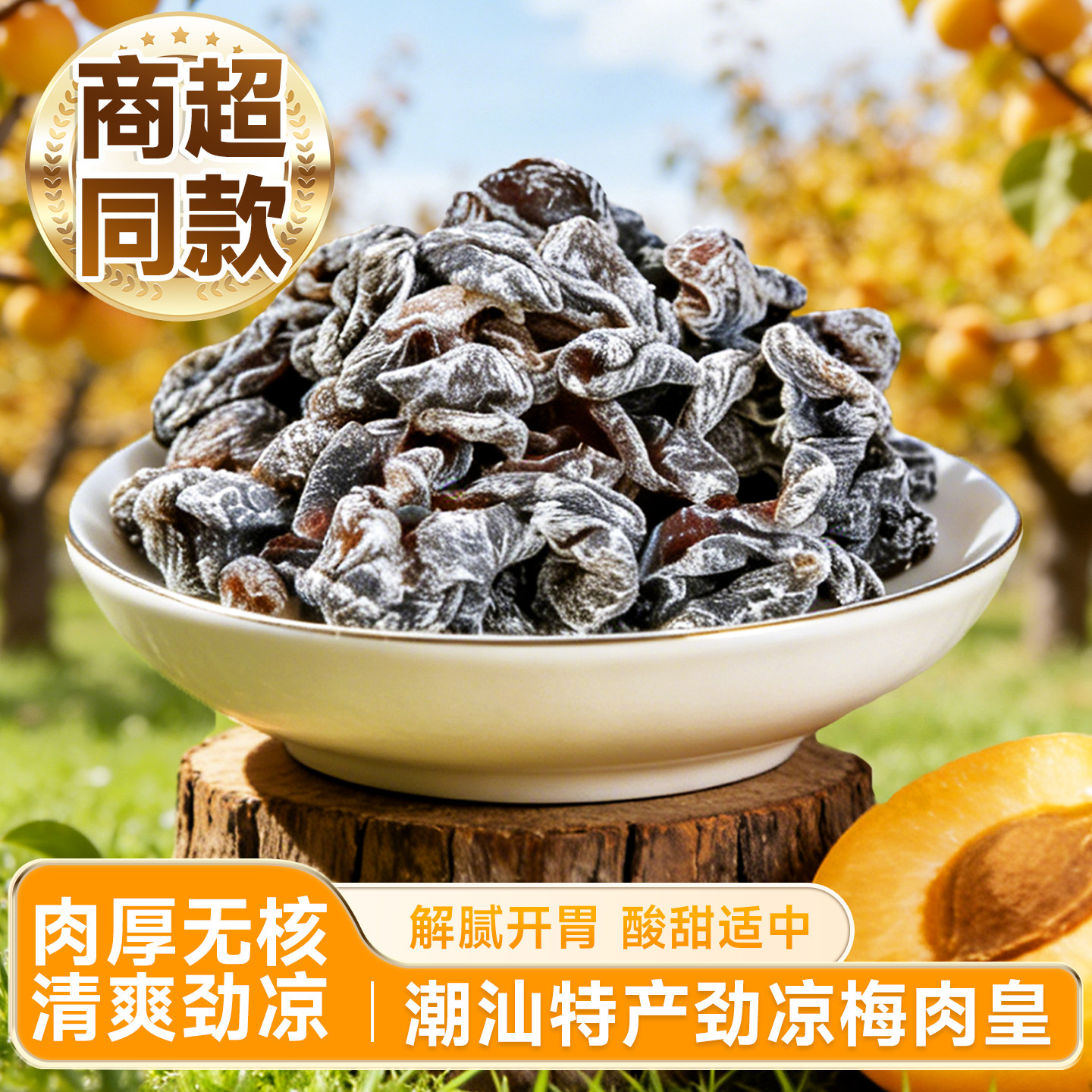 潮汕风味梅肉皇劲凉话梅干酸梅子果干果脯蜜饯超级好吃的小零食