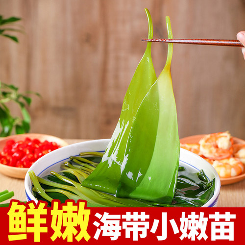 盐渍海带苗新鲜嫩芽火锅食材