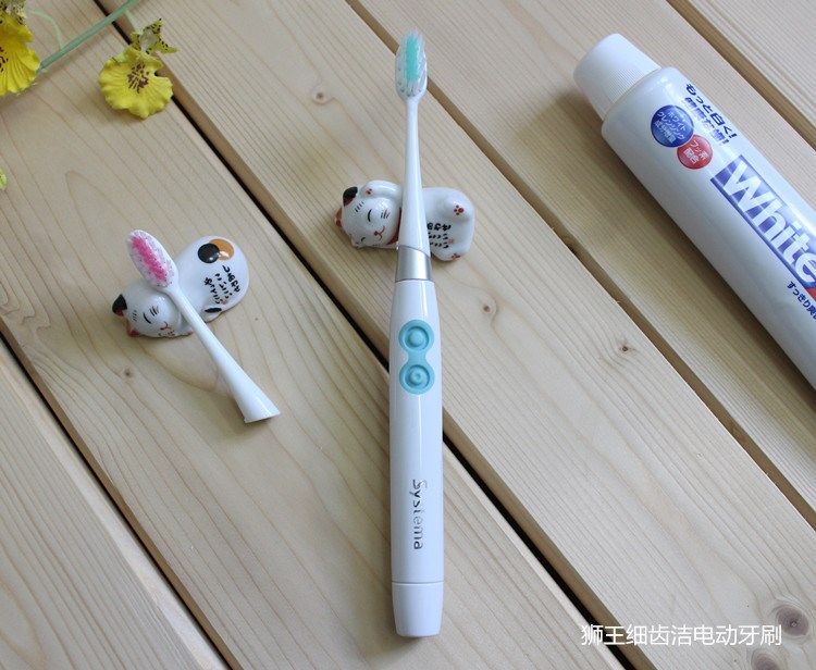 日本进口狮王Lion细齿洁电动牙刷/替换刷头声波振动软毛成人/儿童