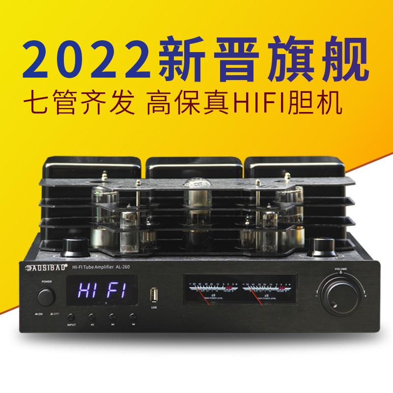 原装出口丹麦发烧hifi胆机5.0蓝牙甲乙类大功率家用电子管功放