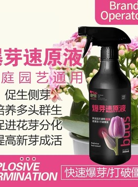 【爆芽速原液】多芽促芽催芽分化叶插花植物花卉绿植通用