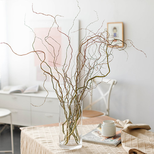干支龙柳干花树枝高级感侘寂风天然禅意民宿客厅插花干枝装饰摆件 - 封面