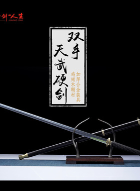 龙泉蒋氏宝剑双手天武硬剑长剑锰钢一体刀剑刀具防身冷兵器未开刃