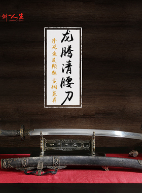 龙泉蒋氏宝剑腾龙清腰刀绣春刀花纹钢材质冷兵器收藏真刀剑未开刃